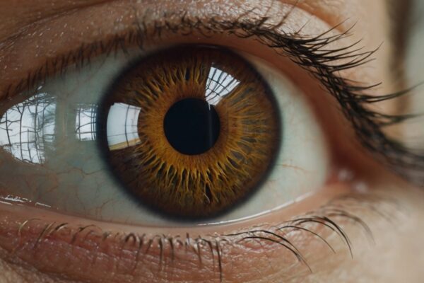 Worldcoin Unveils Open-Sourced Software for Orb’s Eye Scanner - AI in Daily Life - News