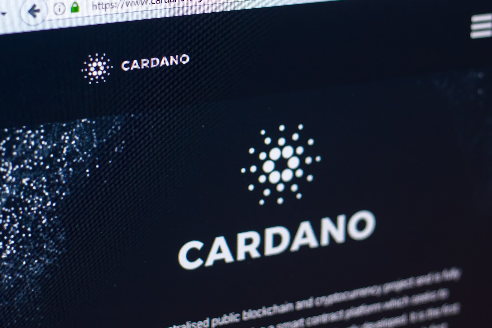 New Wallet Boom on Cardano Network; New AI Crypto Captures Attention - Sponsored News - News