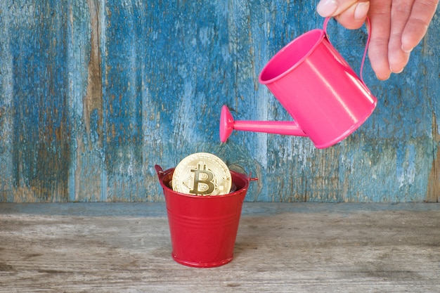 Pink Drainer Shuts Down: How Will Fund Withdrawal Affect DeFi?