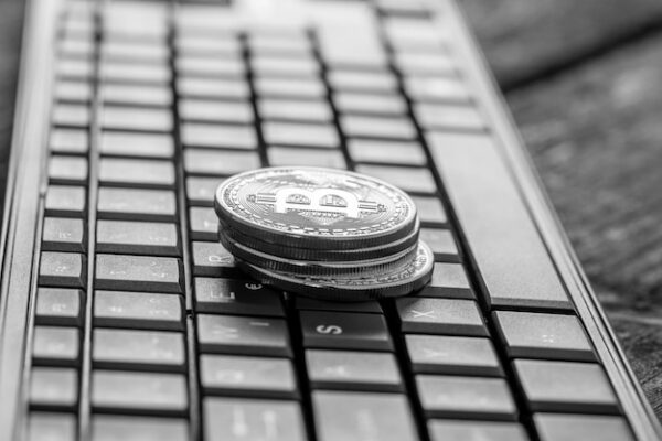 BlackRock, Grayscale named top Bitcoin-holding companies in the world